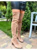 Ботфорты на каблуке