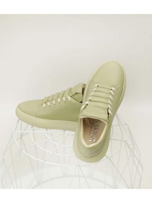 Кеды Авокадо — изображение 6