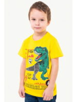 Футболка для мальчика Bonito