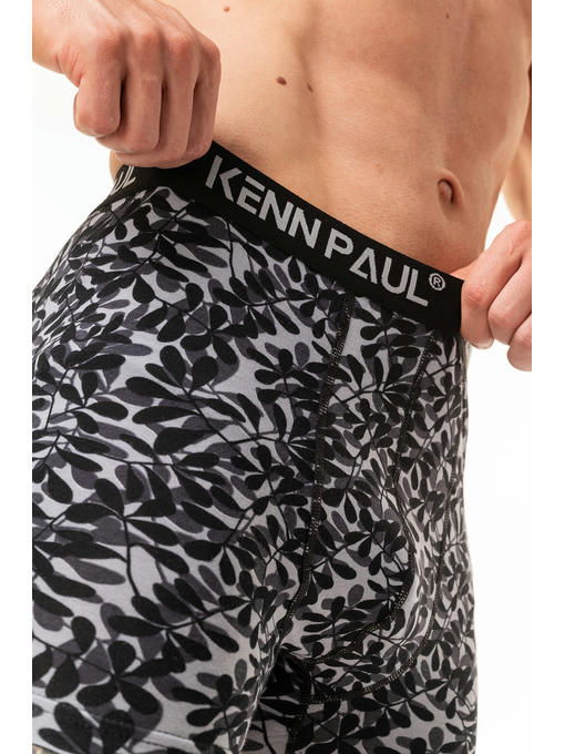 Мужские трусы-боксеры Kenn Paul — изображение 4