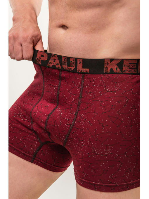 Мужские трусы-боксеры Kenn Paul — изображение 4