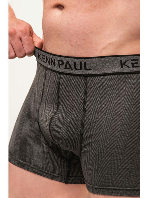 Мужские трусы-боксеры Kenn Paul — изображение 4