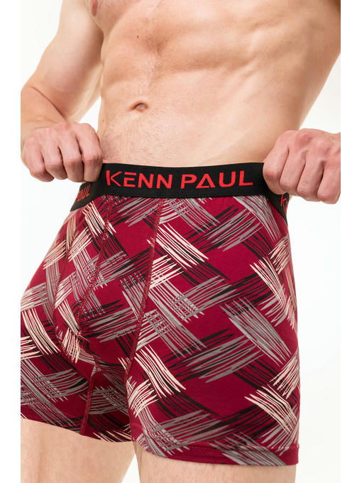 Мужские трусы-боксеры Kenn Paul — изображение 4