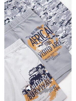 Трусы для мальчика 3шт. Baykar