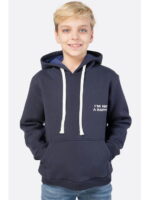 Толстовка для мальчика из футера трехнитки с начесом Bonito