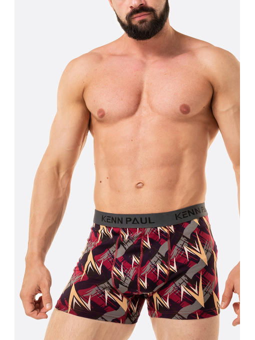 Мужские трусы-боксеры Kenn Paul — изображение 2