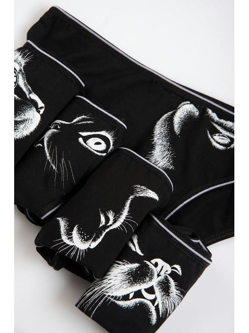 Трусы для девочки 5шт. Donella — изображение 4