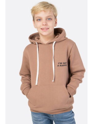 Толстовка для мальчика из футера трехнитки с начесом Bonito