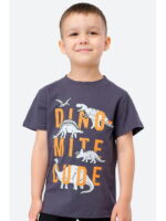 Футболка для мальчика Bonito