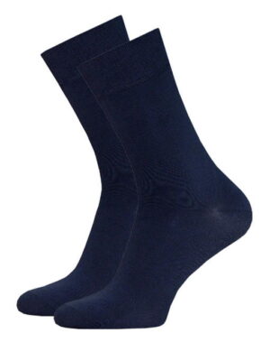 Мужские носки Брестские