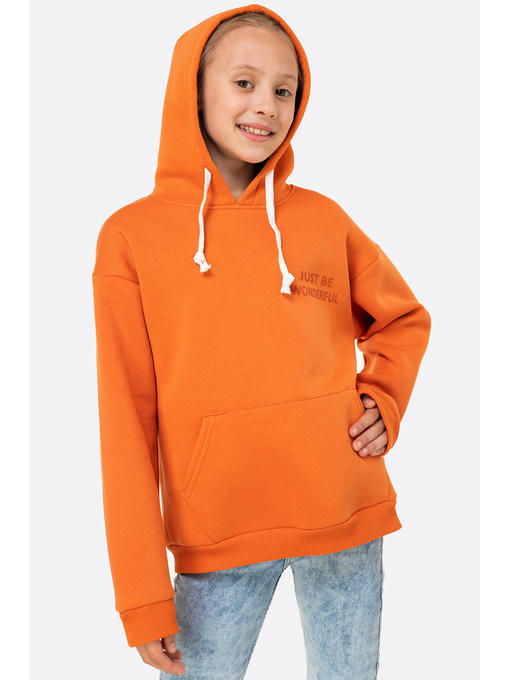 Теплая толстовка из футер трехнитки с начесом для девочки Bonito — изображение 3