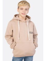 Толстовка для мальчика из футера трехнитки с начесом Bonito