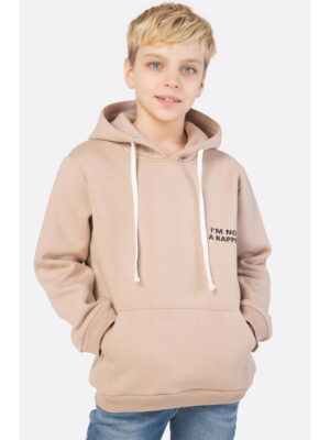 Толстовка для мальчика из футера трехнитки с начесом Bonito