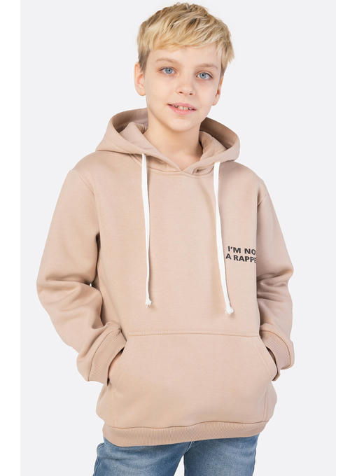 Толстовка для мальчика из футера трехнитки с начесом Bonito