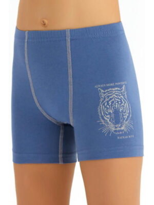 Трусы для мальчика Baykar