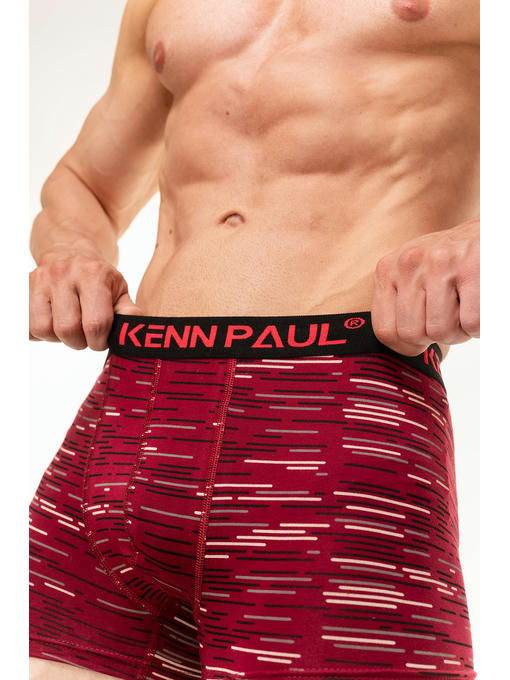 Мужские трусы-боксеры Kenn Paul — изображение 4