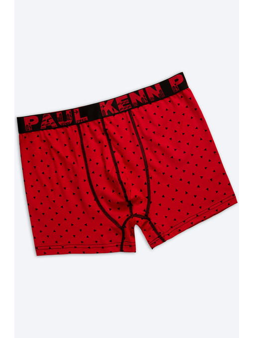 Мужские трусы-боксеры Kenn Paul — изображение 2