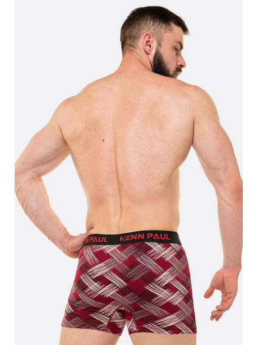 Мужские трусы-боксеры Kenn Paul — изображение 3