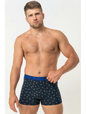 Мужские трусы-боксеры Kenn Paul