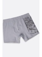 Трусы-боксеры для мальчика Donella