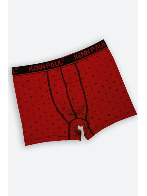 Мужские трусы-боксеры Kenn Paul — изображение 2