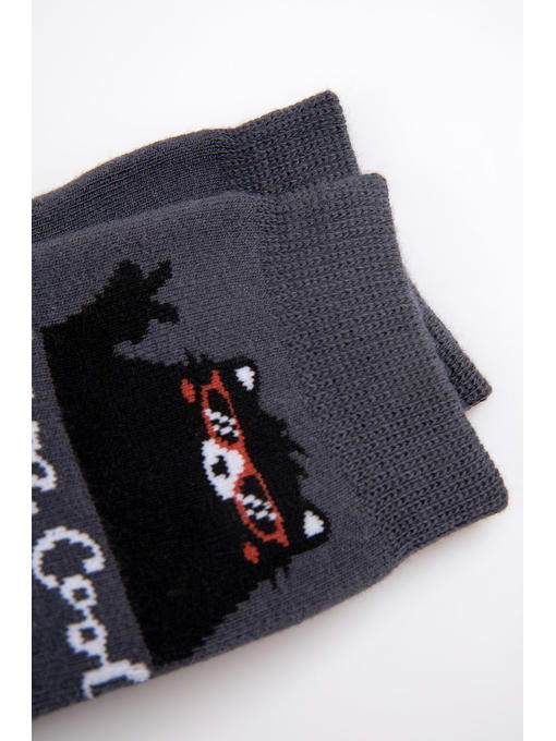 Носки махровые для мальчика Брестские — изображение 3