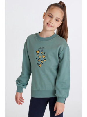 Джемпер из футера с начесом для девочки Takro