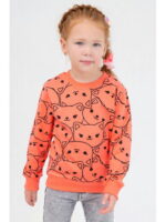 Теплый джемпер из футера двухнитки с начесом для девочки Bonito