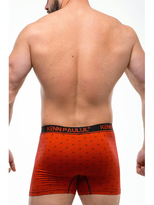 Мужские трусы-боксеры Kenn Paul — изображение 4