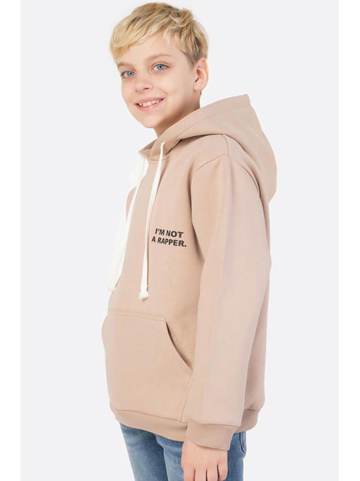 Толстовка для мальчика из футера трехнитки с начесом Bonito — изображение 2