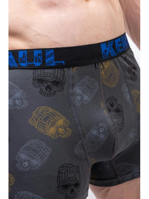 Мужские трусы-боксеры Kenn Paul — изображение 3