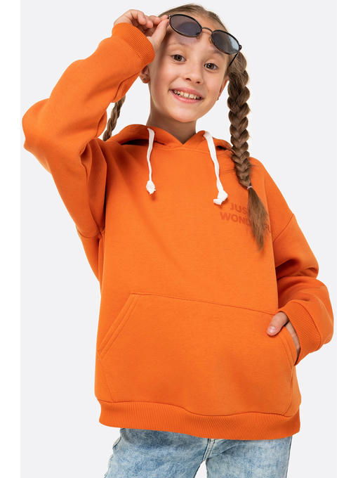 Теплая толстовка из футер трехнитки с начесом для девочки Bonito