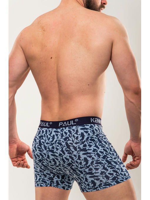 Мужские трусы-боксеры Kenn Paul — изображение 3