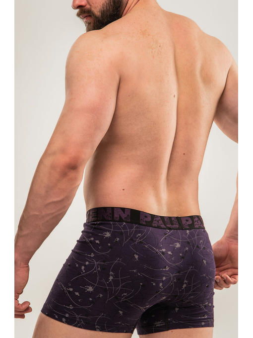 Мужские трусы-боксеры Kenn Paul — изображение 3