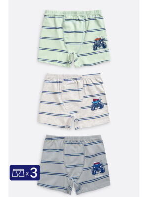 Трусы для мальчика 3 шт. Baykar