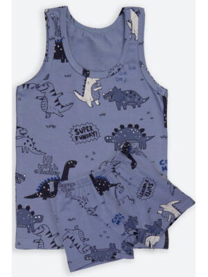 Комплект для мальчика Donella