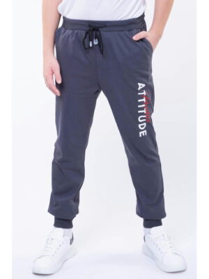 Брюки для мальчика Bonito