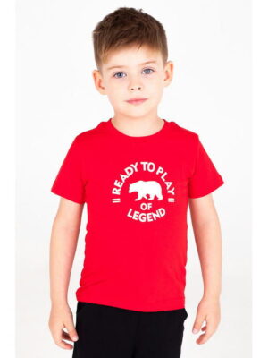 Хлопковая футболка для мальчика Takro