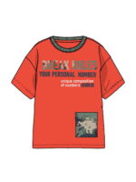 Футболка PLAYTODAY