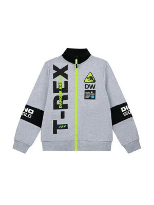 Толстовка PLAYTODAY