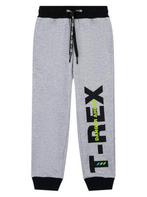 Брюки PLAYTODAY