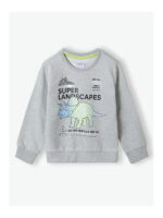 Свитшот 5.10.15