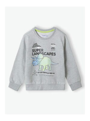 Свитшот 5.10.15