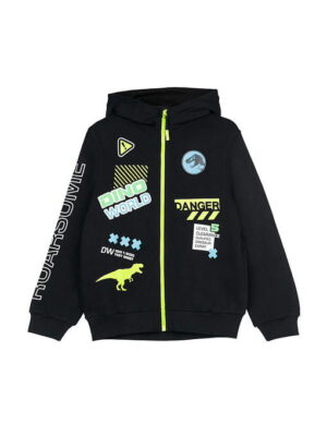 Толстовка PLAYTODAY