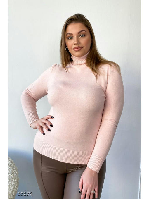 Водолазка с воротом с отворотом