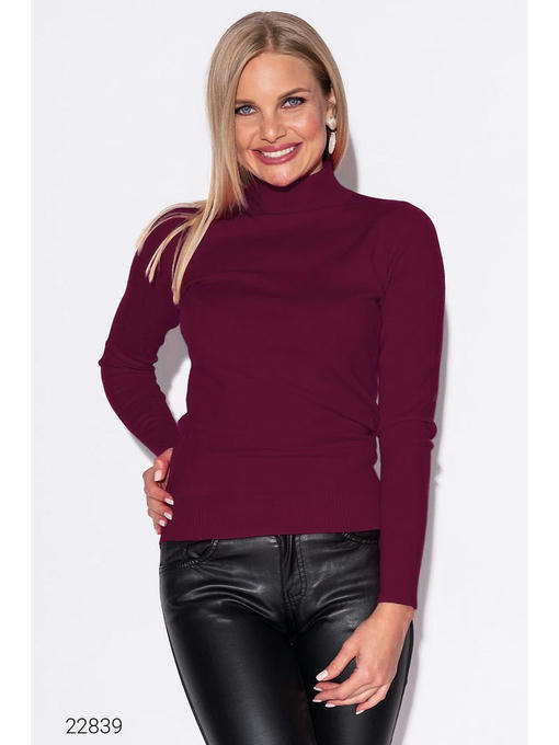 Водолазка с воротом-стойкой