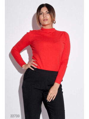 Водолазка с воротом-стойкой