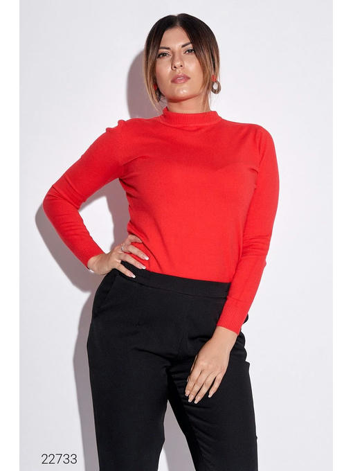 Водолазка с воротом-стойкой