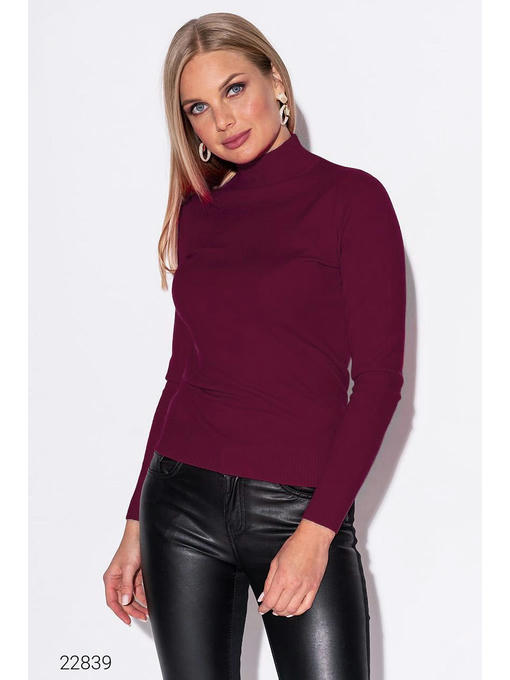 Водолазка с воротом-стойкой — изображение 2