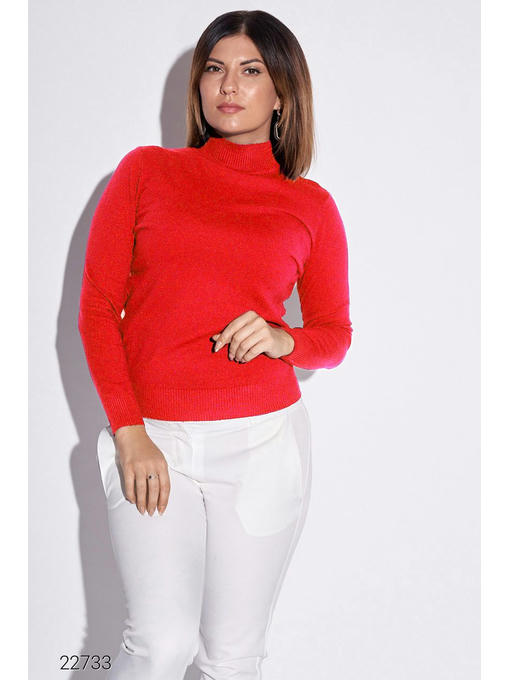 Водолазка с воротом-стойкой — изображение 5